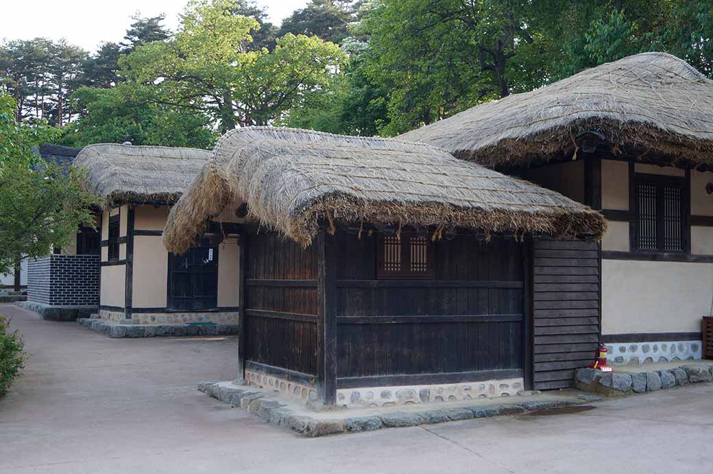 Thatched roof houses