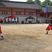 Long spears display