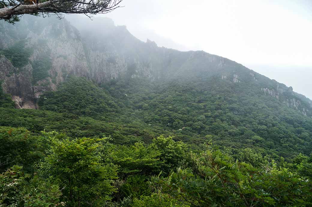 Misty Yeongsilgiam view