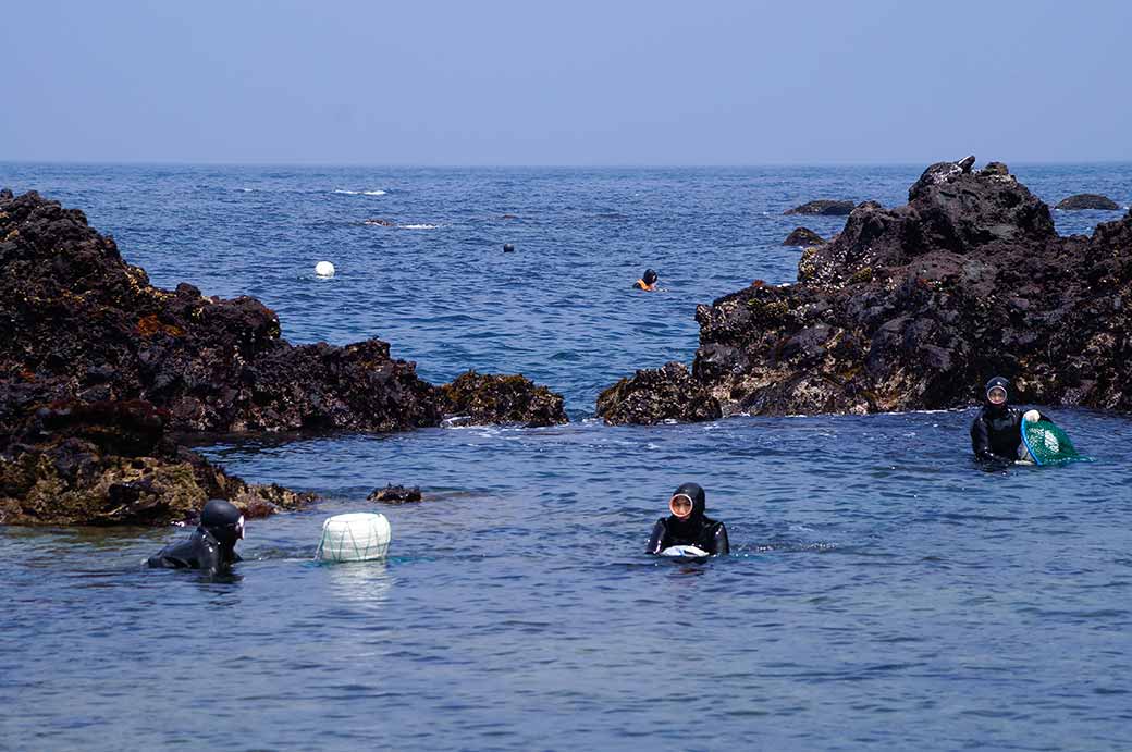 Haenyeo in the water