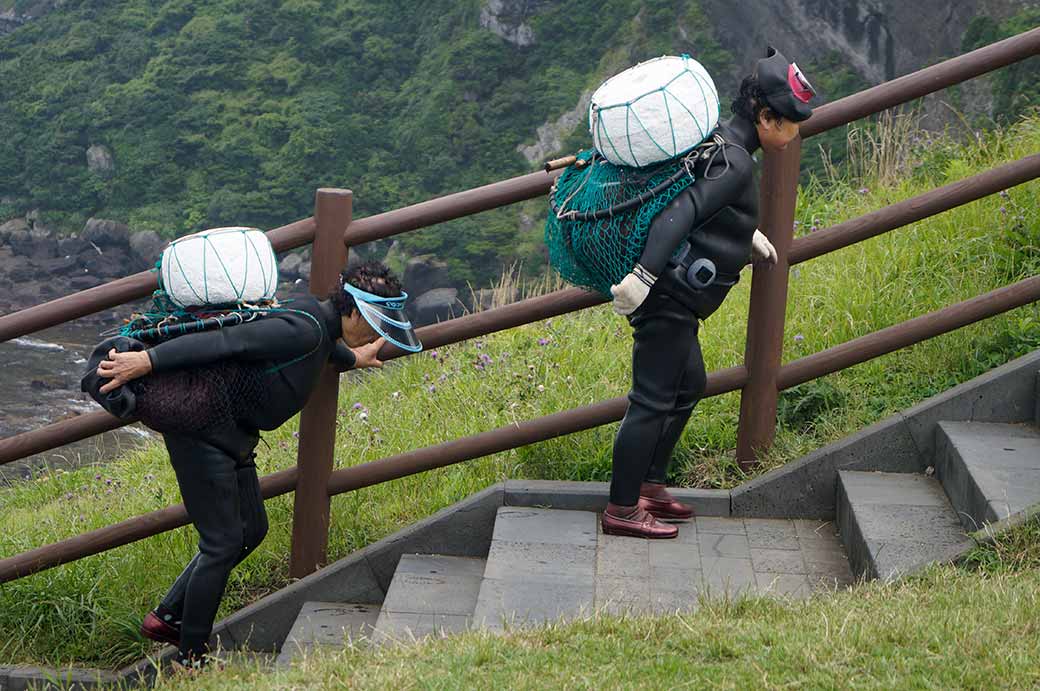 Carrying seafood