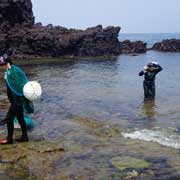 Haenyeo coming ashore