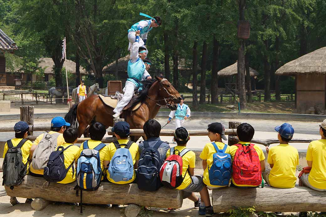 Watching a horse show