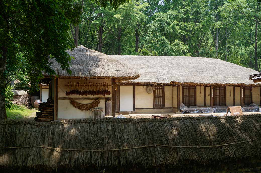 Thatched farmhouse