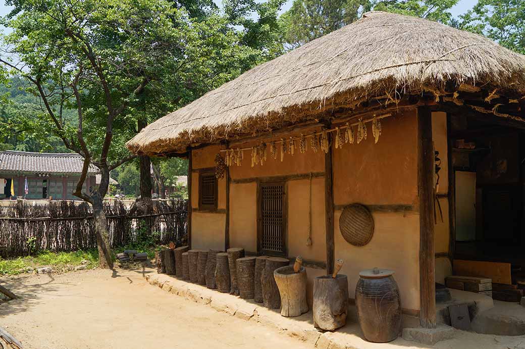 Traditional thatched farmhouse