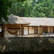 Thatched farmhouse