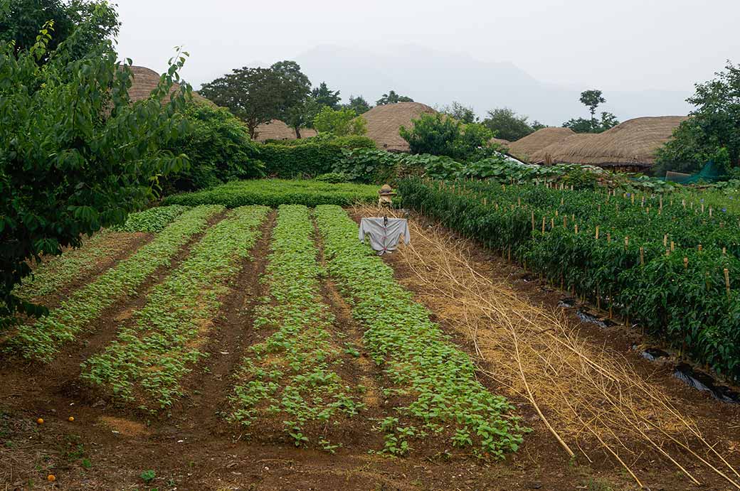 Farms and houses, Nagan