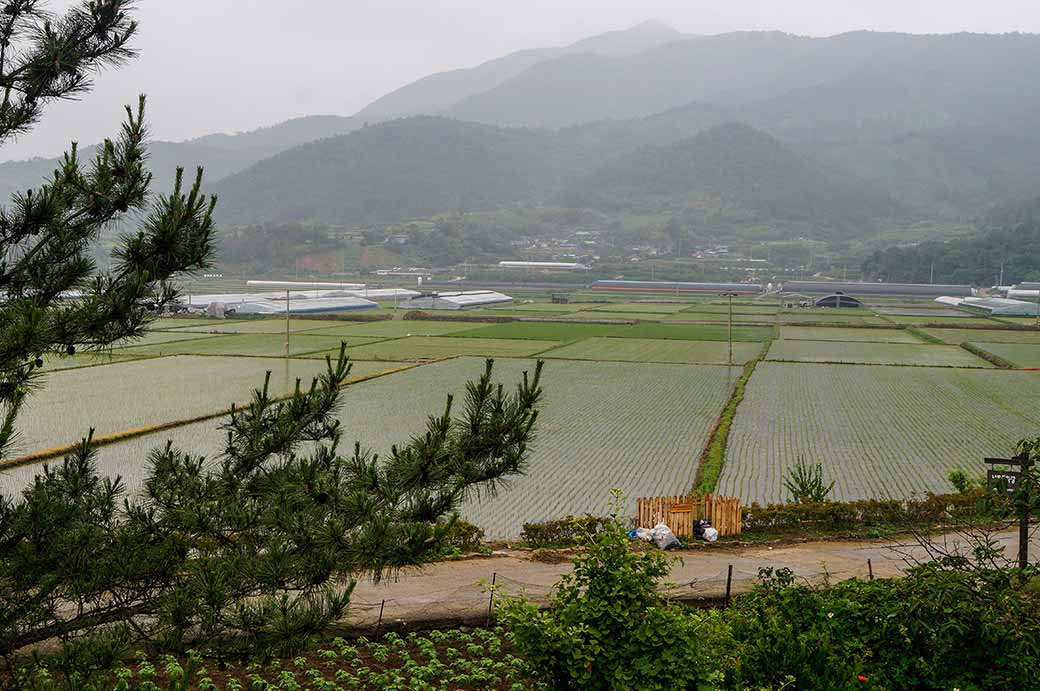 View from Nagan