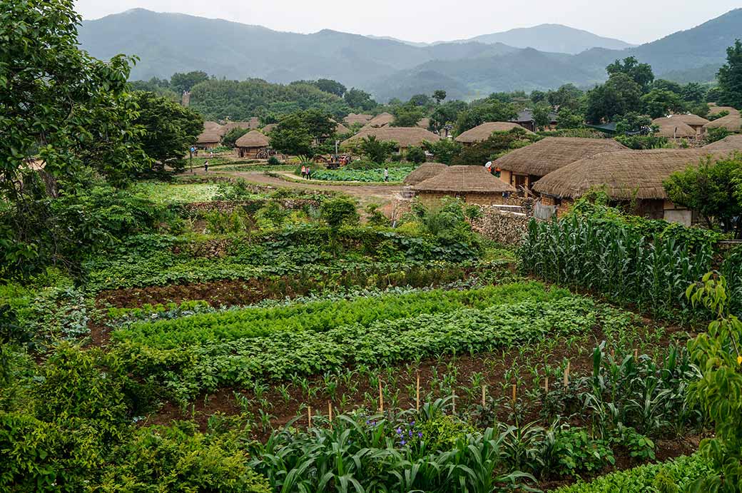 Farms and houses, Nagan