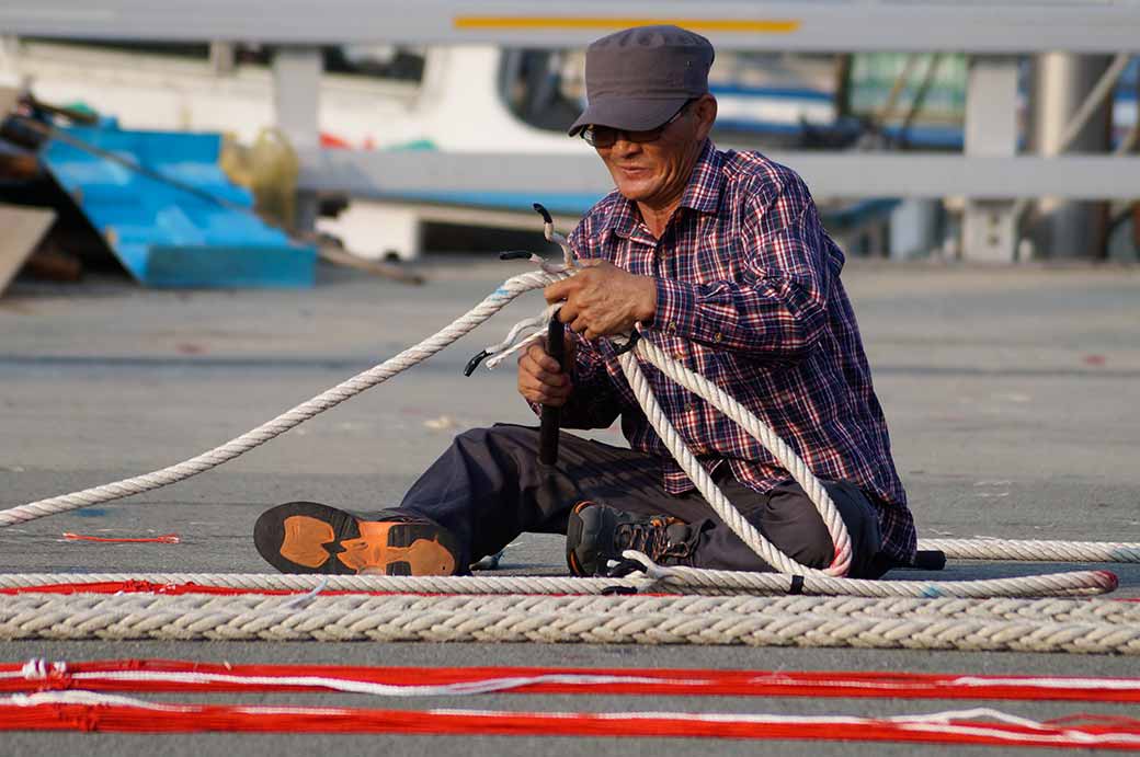 Nets and ropes