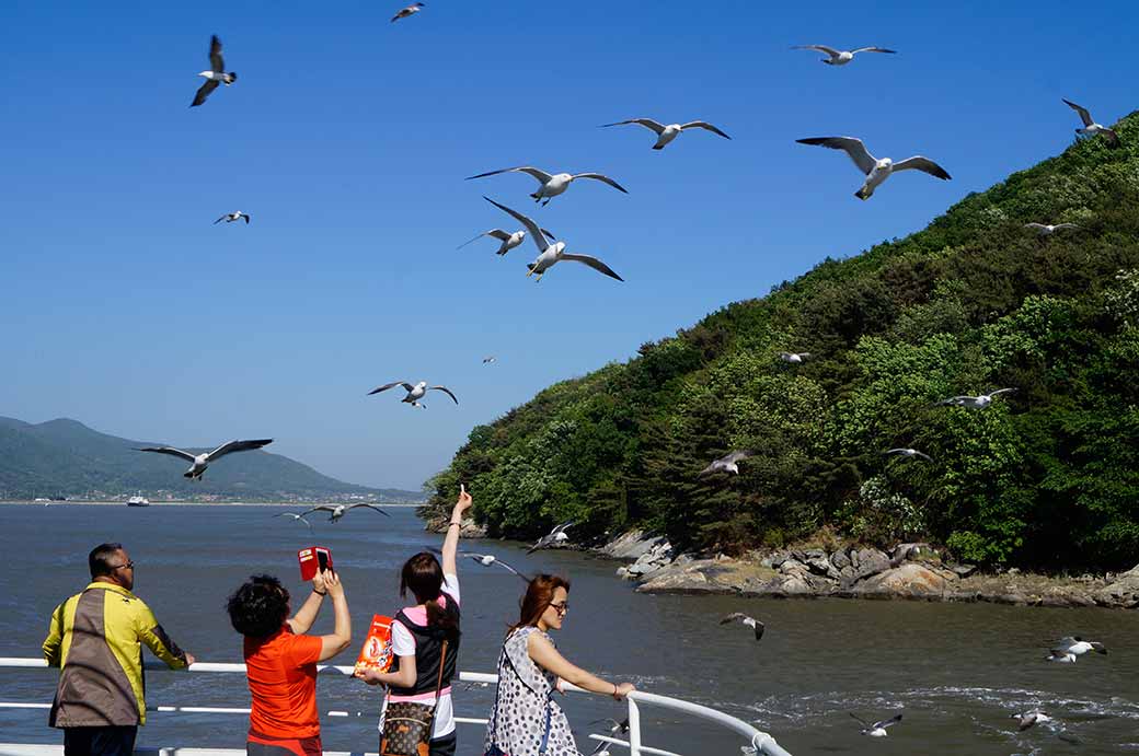 Ferry from Seongmo-do