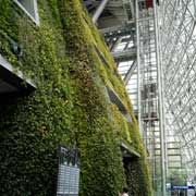 Green Wall, Seoul City Hall