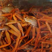 Live crabs