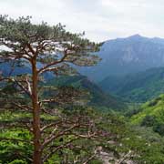 View, below Ulsanbawi