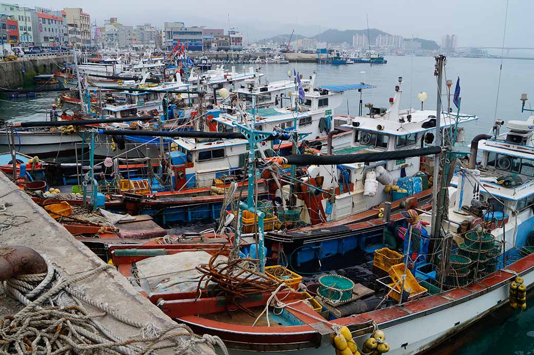 Fishing boats