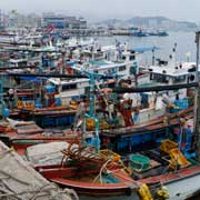 Fishing boats