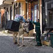 Garbage collector, Prizren