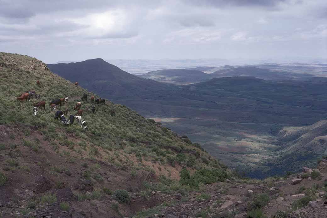 Bushmen's Pass