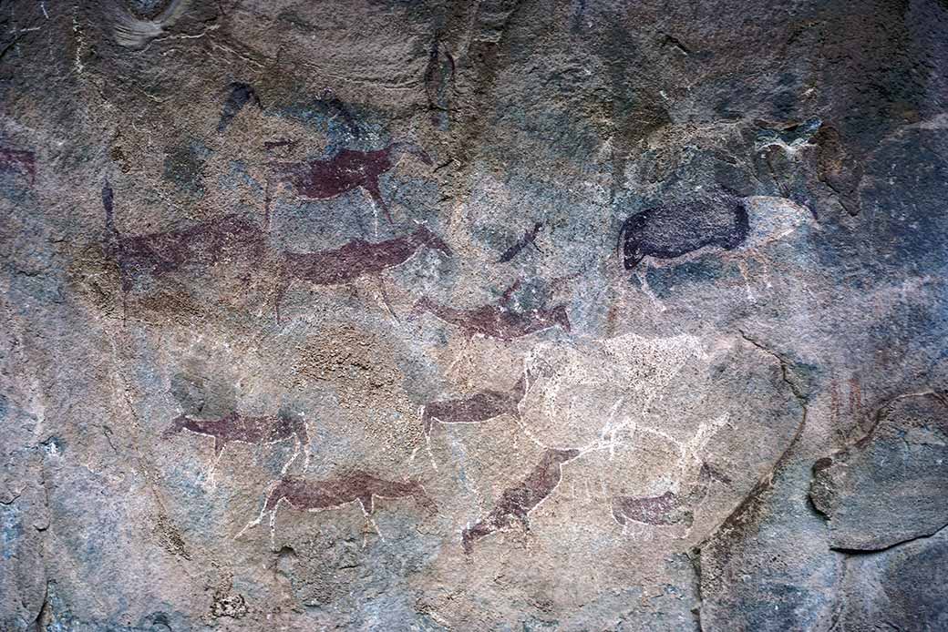 Bushmen paintings