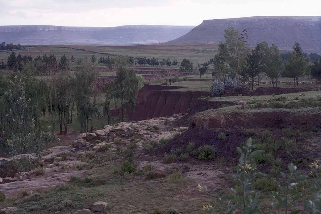 Soil erosion