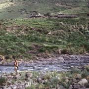 Makhaleng river