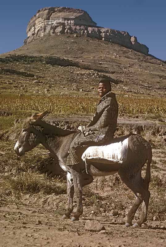 Riding a donkey