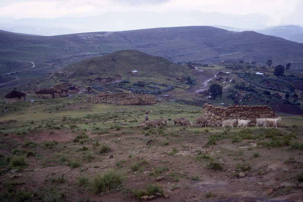 Rain in Qomoqomong