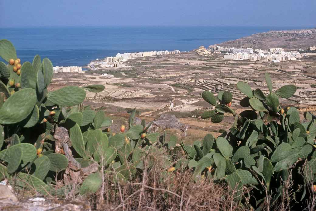 View to Marsalforn