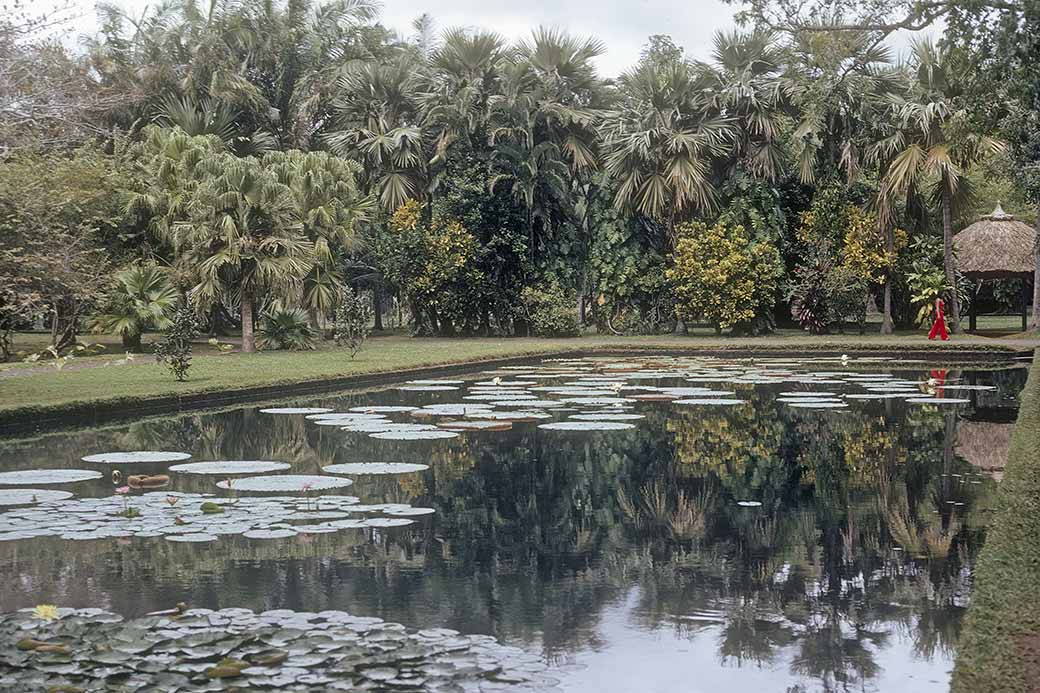 Sir Seewoosagur Ramgoolam Botanical Garden