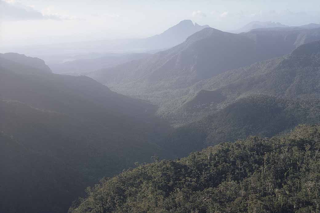 View in Black River Gorge