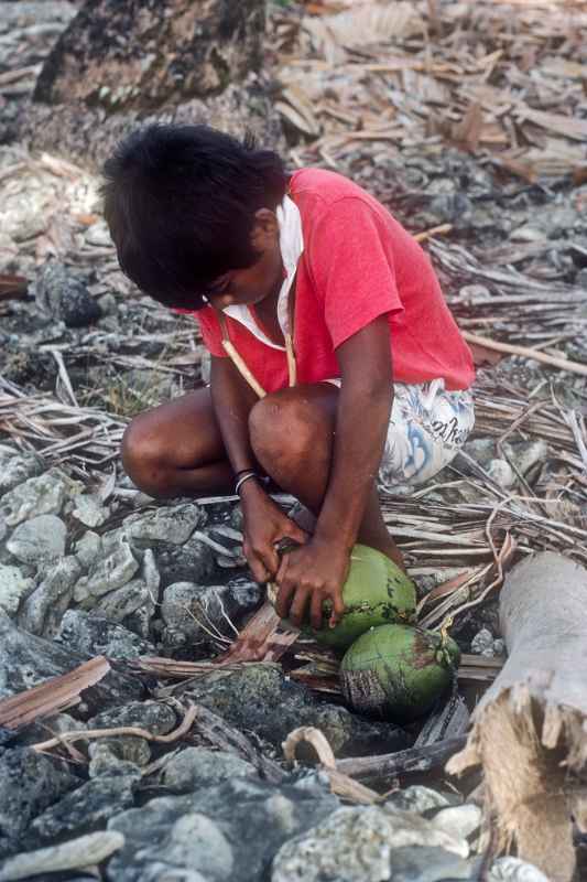 Alik peeling off coconut husk