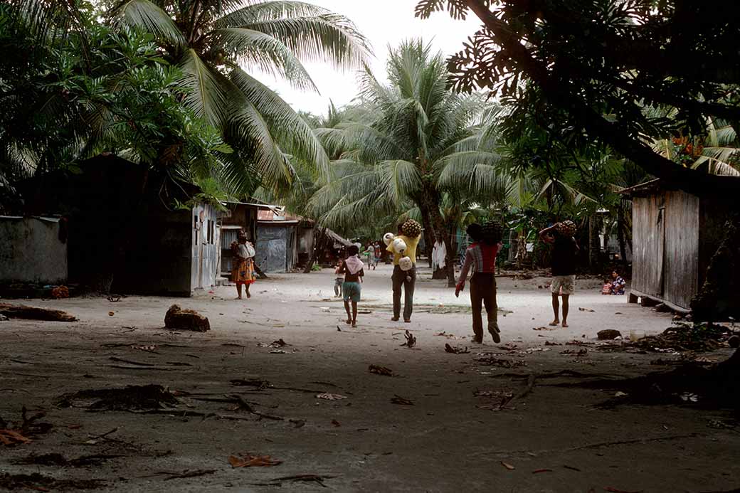 Carrying pandanus fruit into the village