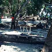 Canoes under palm trees, Murilo