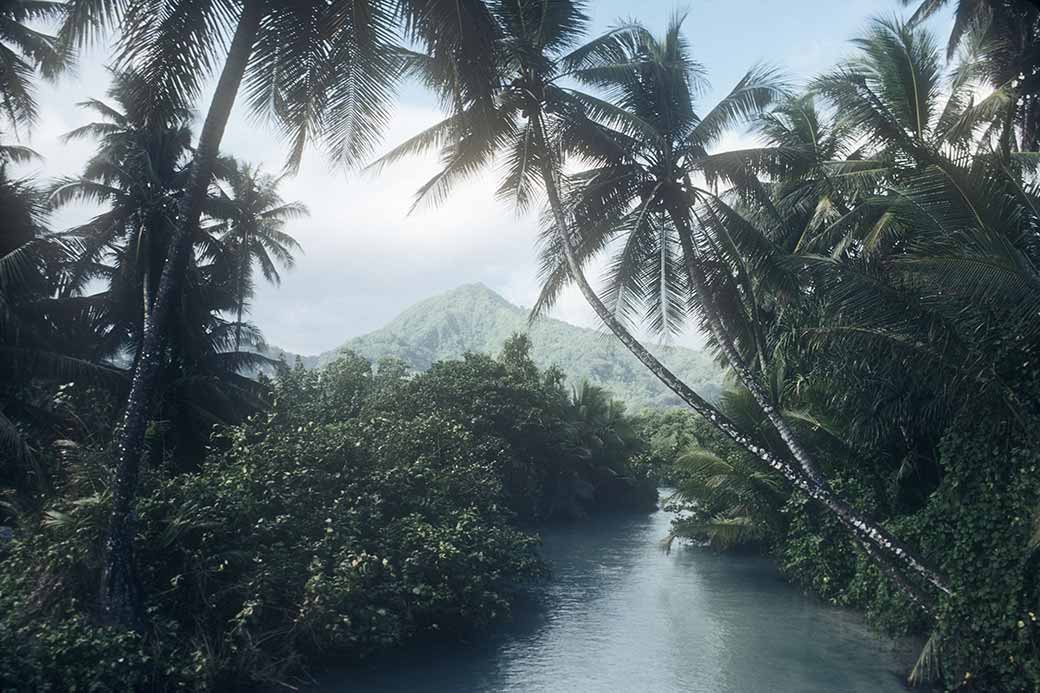 River with palms, Kosrae