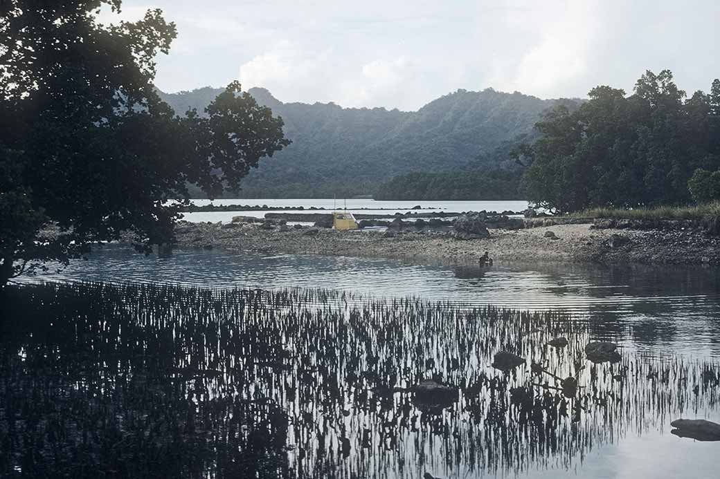 Swamp in Utwa