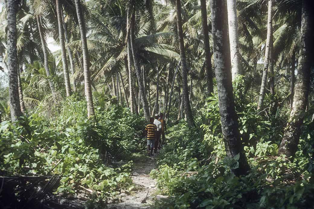 Walking north to Walung-Saoksa