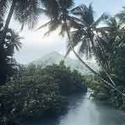 River with palms, Kosrae