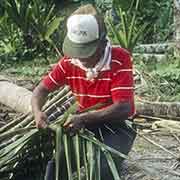 Mr. Kilafwakun, weaving