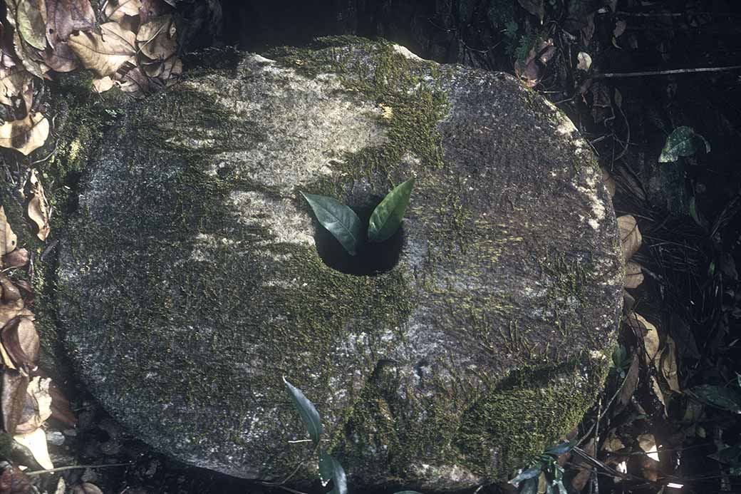 Large stone coin