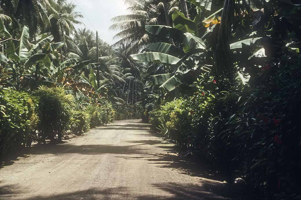 Road in Gagil