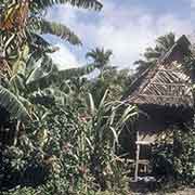 Traditional house in Dugor