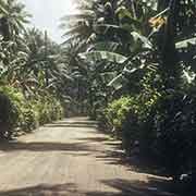 Road in Gagil