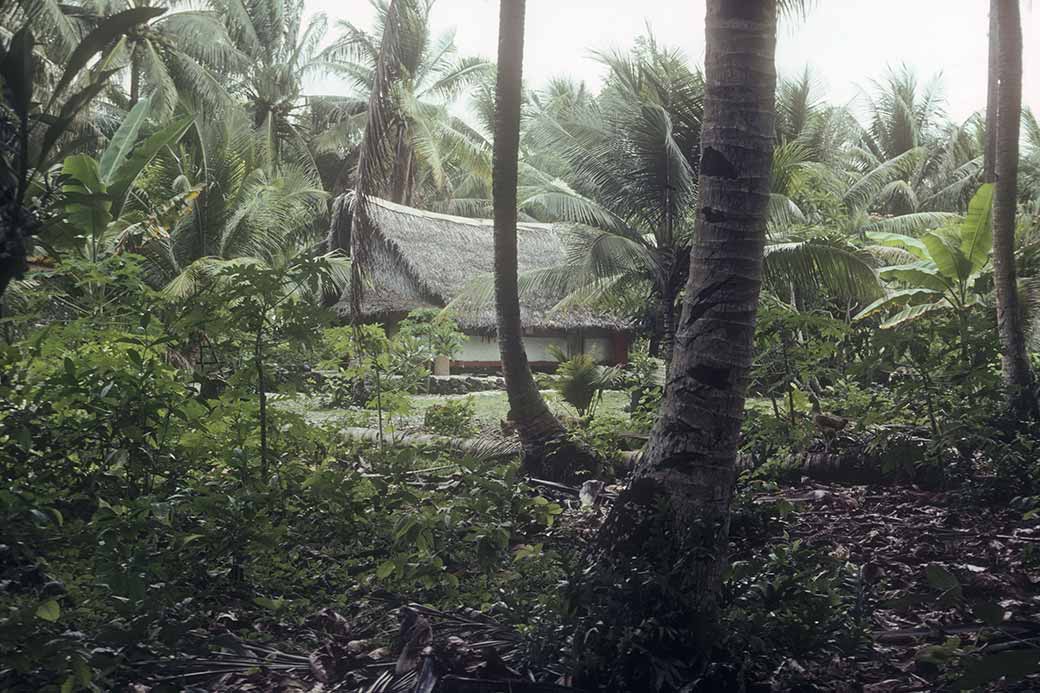 House, Falalop island, Woleai