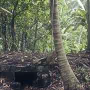 Japanese bunker, Woleai