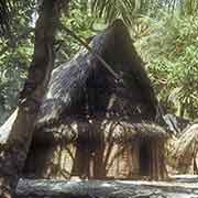 Traditional house, Falalop, Ifalik