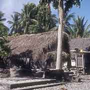 Traditional houses and a grave