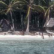 Piig island, Faraulep atoll