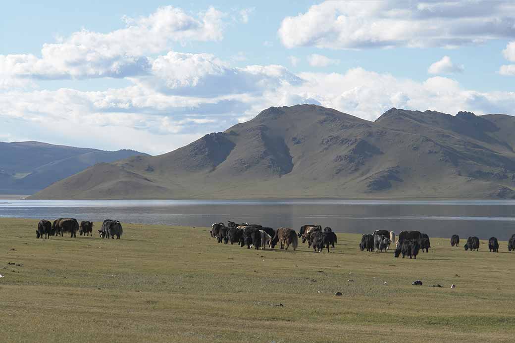 Terkhiin Tsagaan Nuur