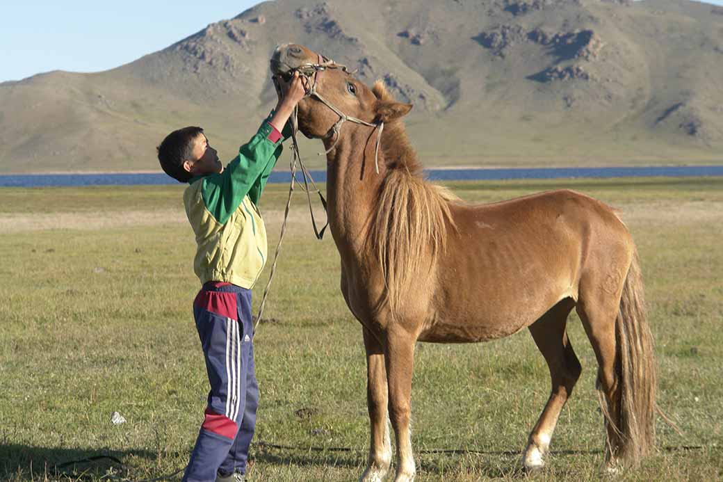 Boy and his horse