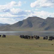 Terkhiin Tsagaan Nuur